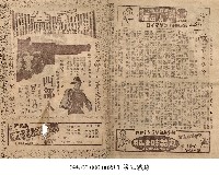 藏品(第五戰線)的圖片