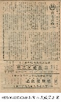 藏品(蛇魔復仇記)的圖片