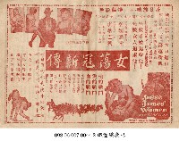 藏品(女蕩寇新傳)的圖片