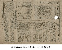 藏品(封面女郎)的圖片