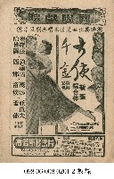 藏品(大使千金)的圖片