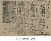 藏品(一千0一夜)的圖片