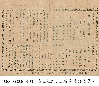 藏品(生活的勇者(生活の勇者))的圖片