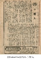 藏品(小婦人)的圖片