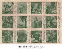 藏品(柴哈林之役)的圖片