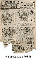 藏品(雙姝戀)的圖片