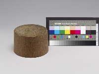 藏品(帽模)的圖片