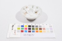 藏品(日軍在台從軍紀念杯（日軍在臺從軍紀念杯）)的圖片