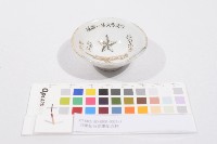 藏品(日軍在台從軍紀念杯（日軍在臺從軍紀念杯）)的圖片