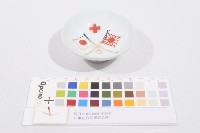 藏品(日軍在台從軍紀念杯（日軍在臺從軍紀念杯）)的圖片