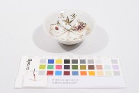 藏品(日軍在台從軍紀念杯（日軍在臺從軍紀念杯）)的圖片