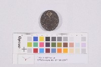 藏品(臺灣總督府頒發-霧社蕃討伐紀念徽章)的圖片