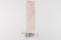 藏品(神宮大麻(神札))的圖片