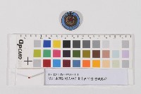 藏品(大日本國防婦人會台北市西分會-會員徽章)的圖片