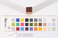 藏品(登記出張所-事務印章)的圖片