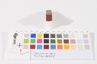 藏品(登記出張所-事務印章)的圖片