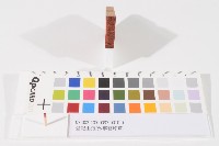 藏品(登記出張所-事務印章)的圖片