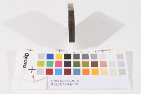 藏品(登記出張所-事務印章)的圖片