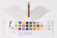 藏品(登記出張所-事務印章)的圖片