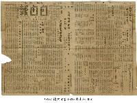 藏品(自由報)的圖片