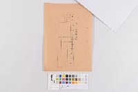 藏品(預防注射)的圖片