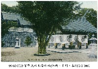 藏品(臺灣神社)的圖片