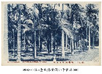 藏品(臺北植物園)的圖片