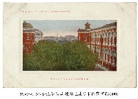 藏品(臺北醫院)的圖片