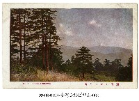 藏品(雪山)的圖片