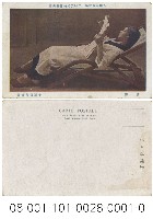 藏品(讀書)的圖片