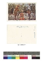 藏品(台灣名所風俗明信片-附封套-タバン社蕃人ノ病魔ノ祈禱)的圖片