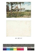 藏品(日治時期明信片-（臺北）新公園 博物館)的圖片