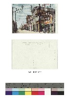 藏品(日治時期明信片-臺中市鈴蘭街通)的圖片