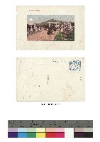 藏品(日治時期明信片-臺灣神社)的圖片