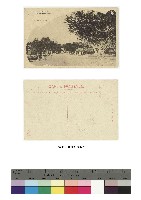 藏品(日治時期明信片-臺中 樟樹の薫り)的圖片