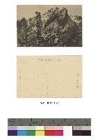 藏品(日治時期明信片-北山中腹より新高主山を望む)的圖片