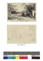 藏品(日治時期明信片-臺灣守備步兵第一聯隊 臺中分屯隊營門ヨリ兵舍)的圖片