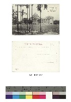 藏品(日治時期明信片-（臺北）ビンロー樹林を越して望む威容博物舘（新公園）)的圖片