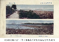 藏品(馬紹爾群島珊瑚礁島)的圖片