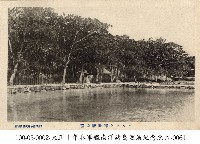 藏品(遠望馬紹爾群島的軍政廳)的圖片