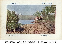藏品(南洋島嶼水岸景色)的圖片