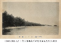 藏品(南洋島嶼海岸)的圖片