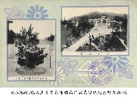 藏品(臺灣神社參拜紀念明信片)的圖片