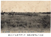 藏品(臺灣步兵第一聯隊 (軍隊生活)分列式)的圖片