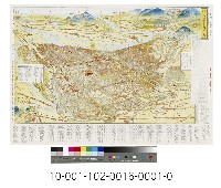 藏品(最新大臺北觀光圖)的圖片