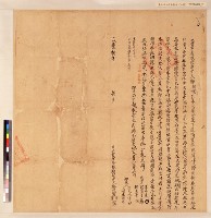 藏品(大隆同郭鴻漢杜賣盡根絕契字)的圖片