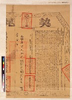 藏品(陳天成立杜賣盡絕契尾)的圖片