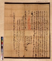 藏品(許鳳信等合同分單字)的圖片