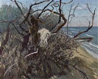 藏品(無言的吶喊)的圖片