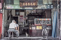 藏品(桃城印象，我的嘉人)的圖片